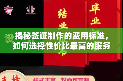 龙井揭秘签证制作的费用标准，如何选择性价比最高的服务？
